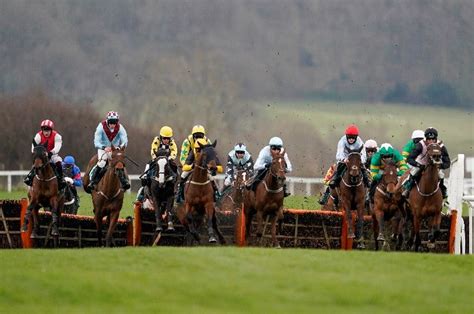 Mares Novices Hurdle .